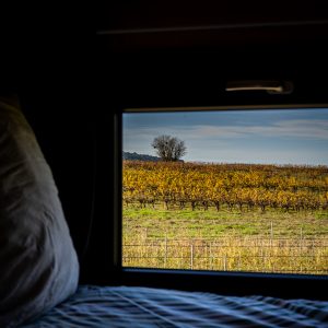 Chambre avec lit double et vue sur les vignes du Château de Vauclaire