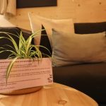 La Tiny House Sainte Victoire &#8211; Brasserie Aix Pression
