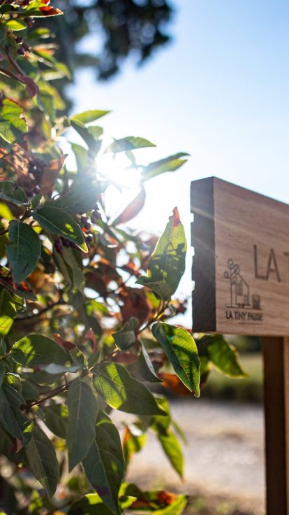 Enseigne en bois « La Tiny House » dans les vignes du Château de Vauclaire