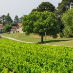 La Tiny House des Vignes &#8211; Château de Vauclaire