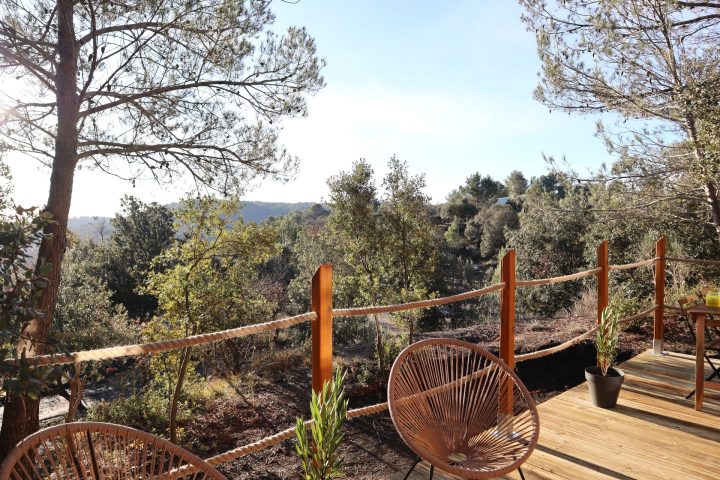 Forêt de pins