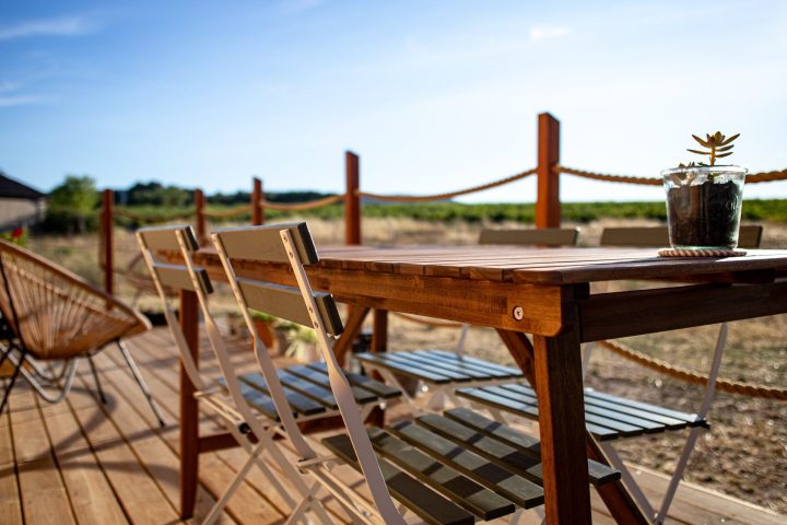 Tiny Pause en images — vignes