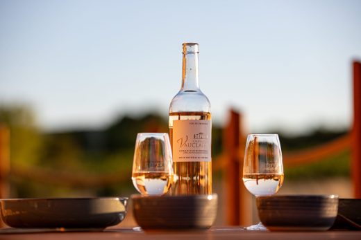 Dégustation de vin près d’Aix-en-Provence : guide